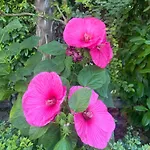 Apartament Argisht Luxury 4 Pools Nisipurile de Aur